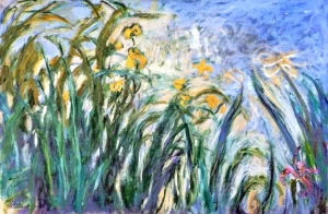 Yellow Irises and Malva, 1914-17 by Claude Monet