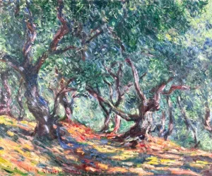 Olive Trees In Bordighera, 1884 by Claude Monet