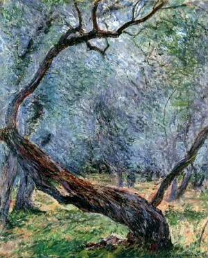 Olive Trees (Study), 1884 by Claude Monet