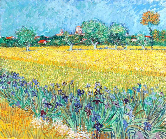 Field With Irises Near Arles by Vincent Van Gogh