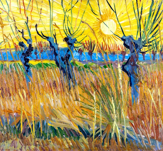 Willows At Sunset by Vincent Van Gogh