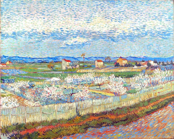 La Crau With Peach Trees In Bloom by Vincent Van Gogh