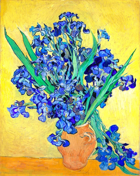 Irises 1890 by Vincent Van Gogh