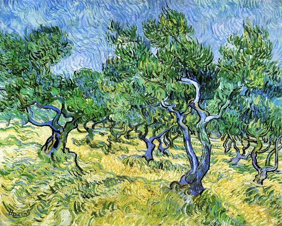 Olive Grove by Vincent Van Gogh