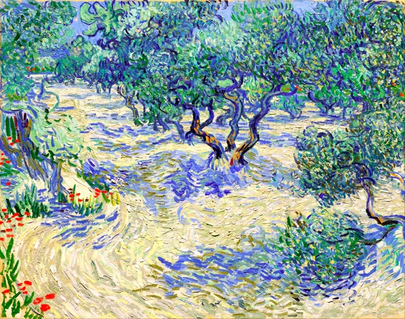 Olive Orchard 1889 by Vincent Van Gogh