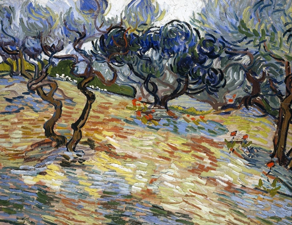 Olive Trees 1889 by Vincent Van Gogh