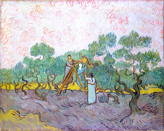 Women Picking Olives by Vincent Van Gogh