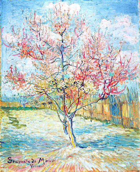 Pink Peach Trees (Souvenir De Mauve) 1888 by Vincent Van Gogh