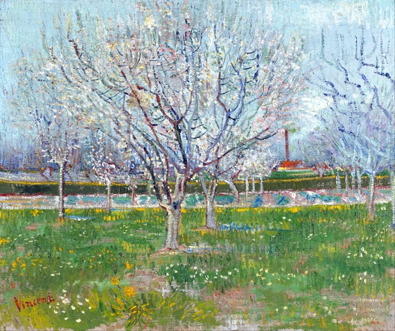 Orchard In Blossom (Plum Trees) 1888 by Vincent Van Gogh