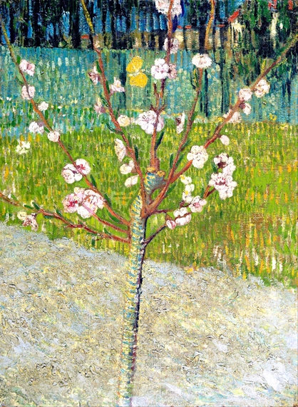 Almond Tree In Blossom by Vincent Van Gogh