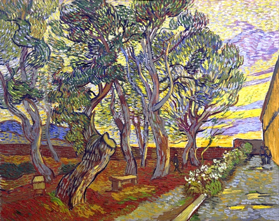 The Garden Of Saint Paul's Hospital by Vincent Van Gogh