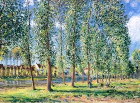The Row of Poplar Trees in Moret 1888 by Alfred Sisley