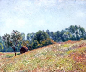 Little, Valley, 1895 by Alfred Sisley