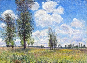 The Meadow at Veneux-Nadon 1881 by Alfred Sisley