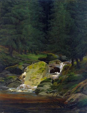 Fir Forest with a Waterfall 1828 by Caspar David Friedrich