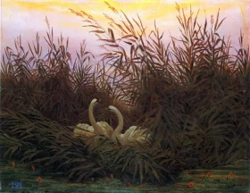 Swans in the reeds at the first dawn 1832 by Caspar David Friedrich