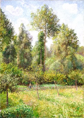 Poplars, Éragny 1895 by Camille Pissarro