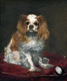 A King Charles Spaniel 1866 by Edouard Manet