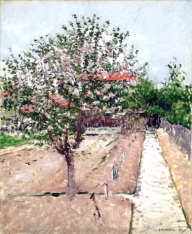 Apple Tree in Bloom 1885 by Gustave Caillebotte