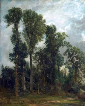 Trees at Hampstead - The Path to Church by John Constable