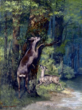 Deer in the Forest 1868 by Gustave Courbet