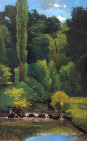 Ruisseau Dans La Forêt by Gustave Courbet