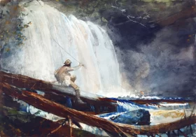 Waterfall in the Adirondacks, 1889 by Winslow Homer