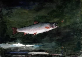 Leaping Trout 1889 by Winslow Homer