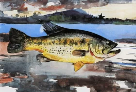 Bass 1900 by Winslow Homer